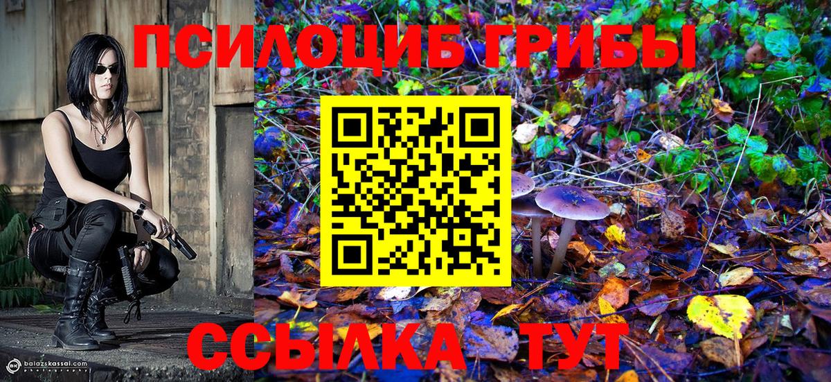 Галлюциногенные грибы мицелий Киров