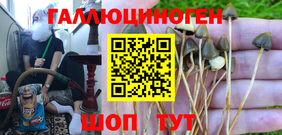 Псилоцибиновые грибы GOLDEN TEACHER  Галлюциногенные грибы Magic Shrooms  Вход с VPN  Киров 